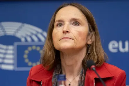 Hana Ross, European Parliament